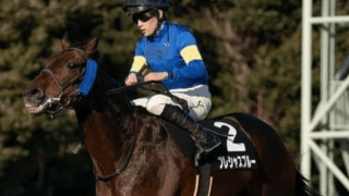 立場が違う人気馬２頭が注目の函館記念。末脚自慢の伏兵馬にも要注意