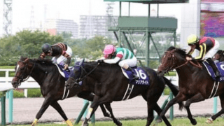 マリアライトの初子オーソクレース。動きよく、スタッフの評価は上々