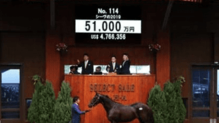 「５億越え」も出たセレクトセール。新世代の種牡馬たちは明暗くっきり