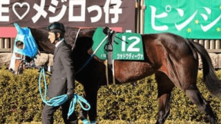 穴党記者が腕ぶすクイーンＳ。北の大地で波乱を呼ぶ３頭を狙い撃ち