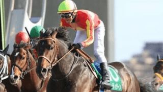 エルムＳはリピーター、オープン入り初戦馬、ＧＩ馬が穴馬券を後押し