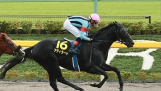 エルムＳで狙い目の３頭。特殊なダート重賞ゆえ３つの重要要素で選択