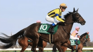 小倉記念は勢いがある馬が強い。血統・コース実績も優秀な２頭に期待