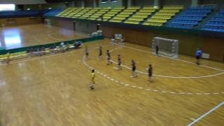 ハンドボール（愛知）女子決勝③