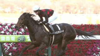 北九州記念は「100万超え」続出。人気薄、軽ハンデの牝馬で大きく狙う