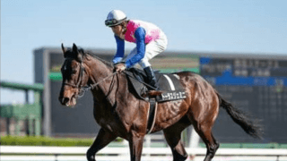 札幌記念は夏に強い牝馬３頭が有力も、展開向く伏兵の一発に注意せよ