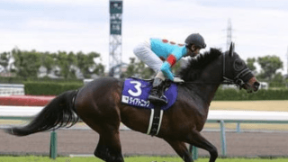 キーンランドＣはスプリント戦で開花した「函館覇者」が突っ走る