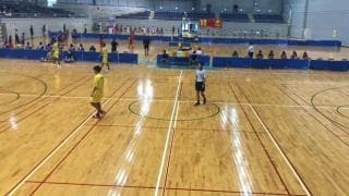 ハンドボール（埼玉）	男子決勝