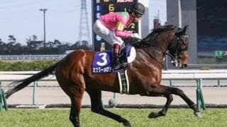 セントウルＳは「高松宮記念の好走馬」と「３歳馬」から狙うべし