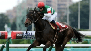 ルージュバックの弟テンカハル。「追うごとによくなっている」