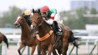 オールカマーは実績よりも適性。穴党記者は斬新すぎる穴馬４頭を推す