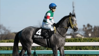 神戸新聞杯はコントレイルが鉄板も、気になる無敗馬がもう１頭いる