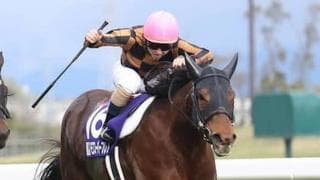 スプリンターズＳは血統的傾向が重要。コース相性もバッチリな２頭を選んだ