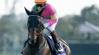 個性派３頭が有力のスプリンターズＳ。人気の盲点となるＧＩ馬にご用心