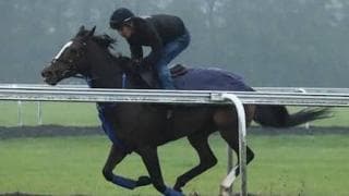 凱旋門賞で日本のディアドラに騎乗する名ジョッキーの男気に感謝