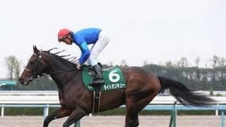 スプリンターズＳは穴党記者の出番。今の中山の馬場に合う３頭で大勝負