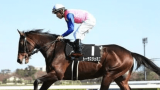 前行く２頭か、決め手ある２頭か。穴党記者の意見が割れた毎日王冠