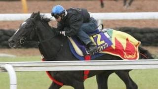 「有力候補」と騒がれながら、本番のクラシックでは勝てなかった馬たち