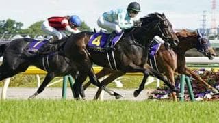 秋華賞でデアリングタクトに死角あり？一抹の不安をあら探しした