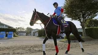 菊花賞で無敗の三冠に挑むコントレイルに、本当に敵はいないのか？