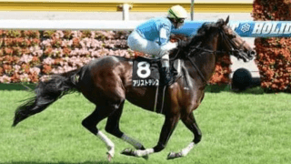 コントレイルとの激走に期待。菊花賞はステイヤー血統馬２頭にも注目