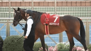 菊花賞でオイシイ配当が狙える穴馬４頭。前哨戦と上がり馬がポイント