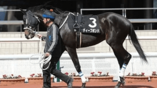 菊花賞は大本命のヒモ穴狙いか、逆転狙い。穴党記者が命運を託す４頭