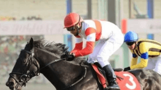 アーモンドアイに死角あり。天皇賞・秋はコントレイルに似た血統馬に注目