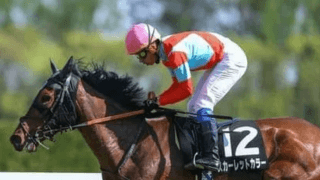 アーモンドアイの快挙を阻むのは？天皇賞・秋で穴党記者が推す３頭