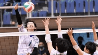 大阪は清風、金蘭会など４校が全国切符　春高バレー地方大会