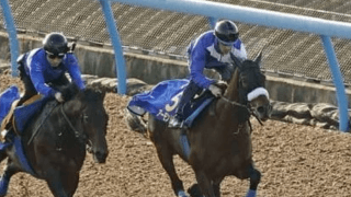 ＧＩ８勝の壁か。アーモンドアイの快挙達成を不安視するデータがズラリ