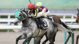 アルゼンチン共和国杯で期待の３頭。芝2500ｍの成績データから選んだ