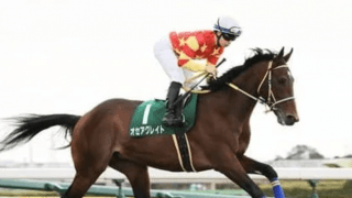 アルゼンチン共和国杯は穴党記者が状態を吟味して選んだ４頭に妙味あり