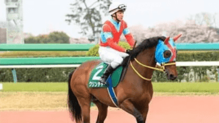 波乱が起こりやすくなったみやこＳ。今年の大駆け候補は自力ある２頭