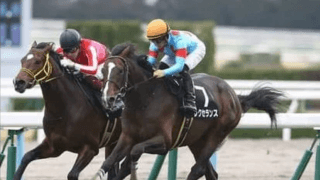 母はフランス重賞馬。「かなりの器」と陣営も驚いたエクスインパクト