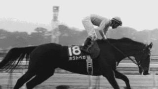 エリザベス女王杯と聞いて思い出す「ベガはベガでも、ホクトベガ！」