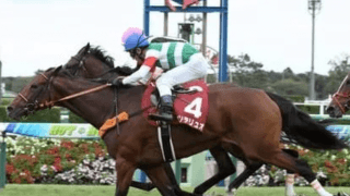 エリザベス女王杯は実績と血統に注目。「芝2200ｍ巧者」が２頭いる