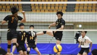 【春高バレー】和歌山は開智と和歌山信愛が全国切符