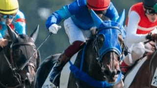 エリザベス女王杯はＧＩ馬３頭が優勢。一角崩しなら勢いある３歳馬か