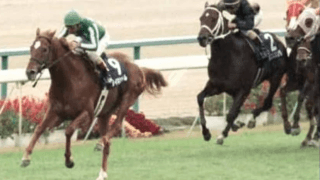 マイルCSで懐かしむ。競馬界の常識を覆した最強のマイル王タイキシャトル