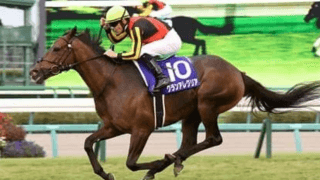 マイルCSはグランアレグリアとサリオスが２強。だが不安材料もある