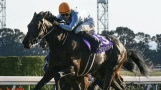 ジャパンＣに挑む「３強」で最強馬は？ 識者アンケートでランキング