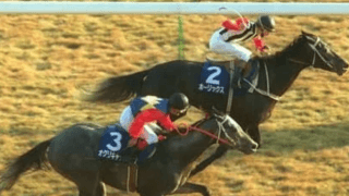 ジャパンＣで思い出すオグリキャップの雄姿。「美しい２着」にファンが感涙