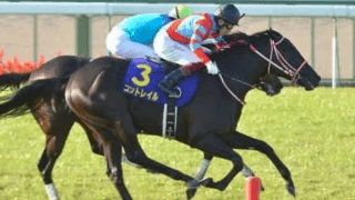 ジャパンＣの「３強」を徹底比較。世紀の一戦で最有力となるのは？