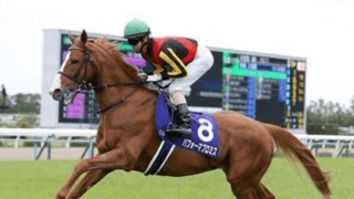 ジャパンＣで「３強」の一角崩しに期待。伏兵扱いの実力馬が３頭いる