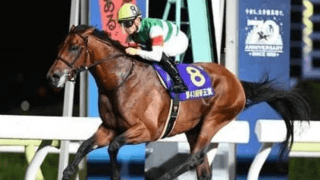 チャンピオンズＣはクリソベリルが軸。穴馬に芝でも好走した実力馬を推す