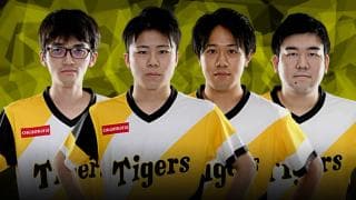阪神タイガース 〜eBASEBALLプロリーグ2020選手名鑑〜