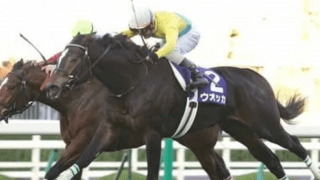 ウオッカが主役、阪神JFの衝撃。伏兵から名牝への道を歩み始めた一戦