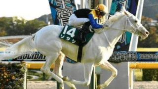 阪神JFでソダシが充実も鉄板ではない。ハイペース、不良馬場で気になる２頭