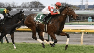 ＧＩ２戦も激戦必至。群雄割拠の２歳牡馬戦線を物語る「識者ランキング」